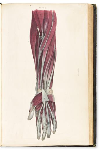 Lizars, John (1792-1860) A System of Anatomical Plates of the Human Body.